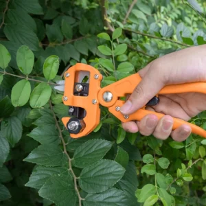 Profi Gartenbau Pfropfwerkzeug Set Landwirtschaft Gartenschere Set-